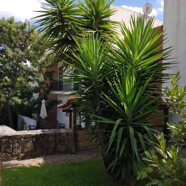 Alto Do Sobreiro Villa Escalos de Cima Exterior photo